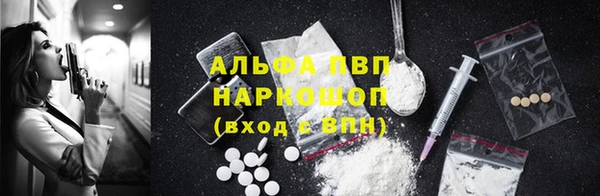 стаф Белокуриха