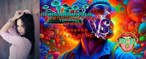 стаф Белокуриха