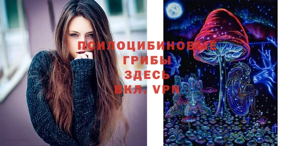 стаф Белокуриха