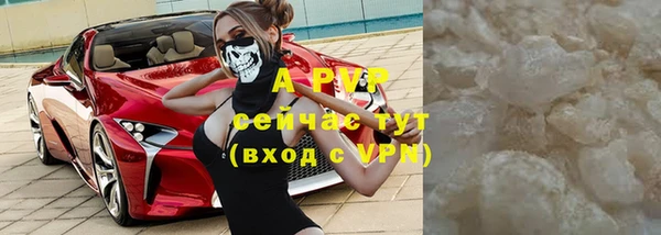 стаф Белокуриха